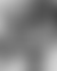 Mata Hari, Fatal Lover (Spy vs. Spy)