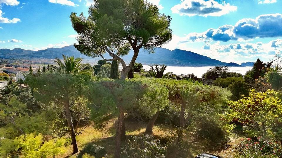 Débroussaillement en Provence : les obligations légales expliquées