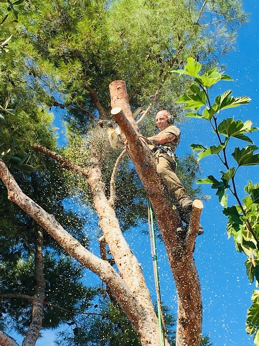 Débroussaillement en copropriété et lotissement : qui fait quoi en Provence