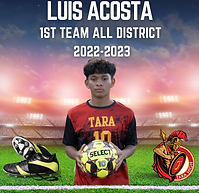 luisdistrict.jpeg
