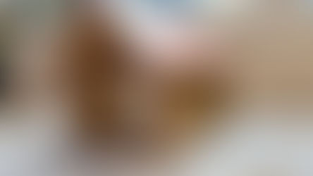 Oak Frame Barn Bird Feeder.