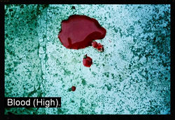 Blood