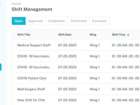 Why You Should Consider an Alternative to BlueSky Medical Staffing Software?