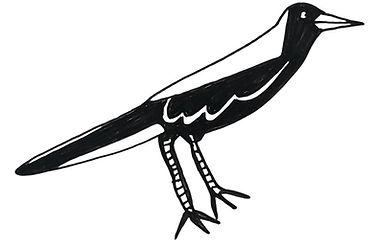 magpie.jpg