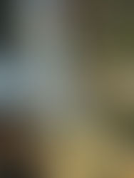 CROCS: LOVE 'EM... OR HATE 'EM?