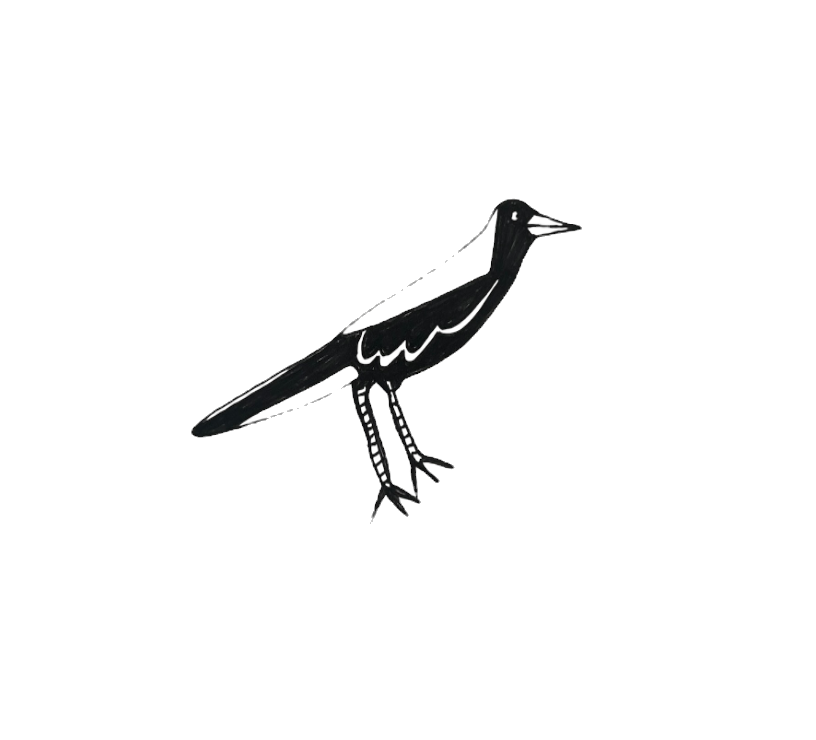 Writer: Cecily-Anna Bennett