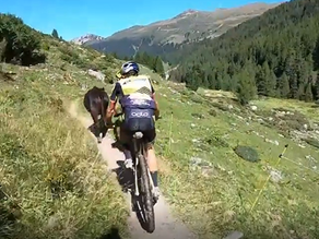 Una vaca, la cabeza de carrera en la etapa reina de la Swiss Epic