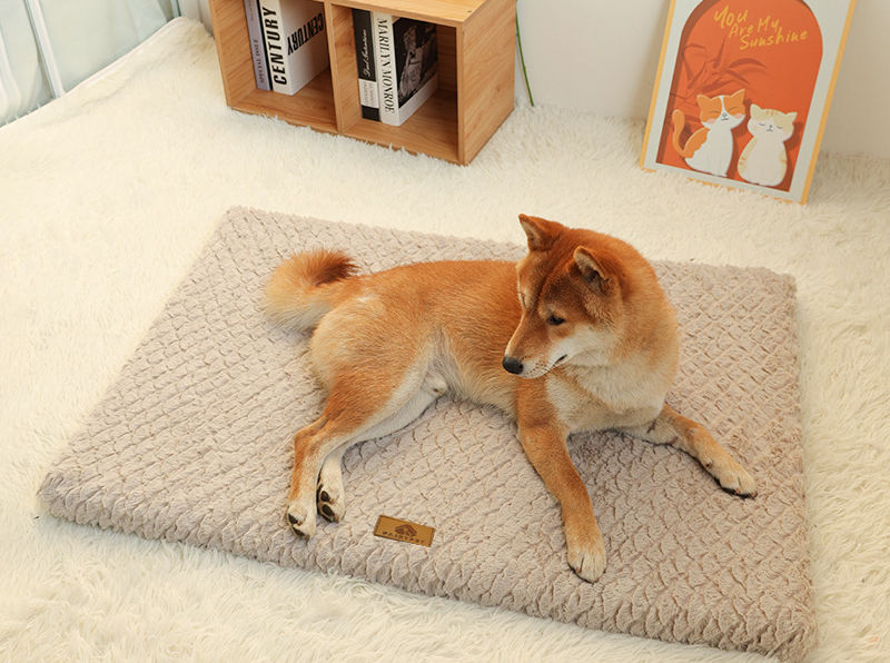 Dog resting on the AnMélie Soft Foam Dog Bed