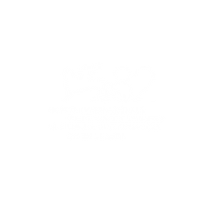 logo-82MIAC-SelezioneUfficiale-EW.png