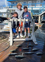 spanish mackrel and hard tails