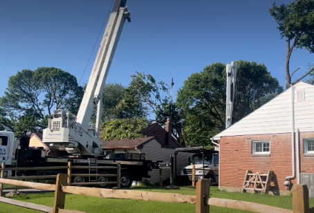 Commercial Tree Services: Ensuring Safety and Aesthetics for Your Business Property