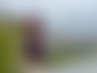 三線の日と三板の日