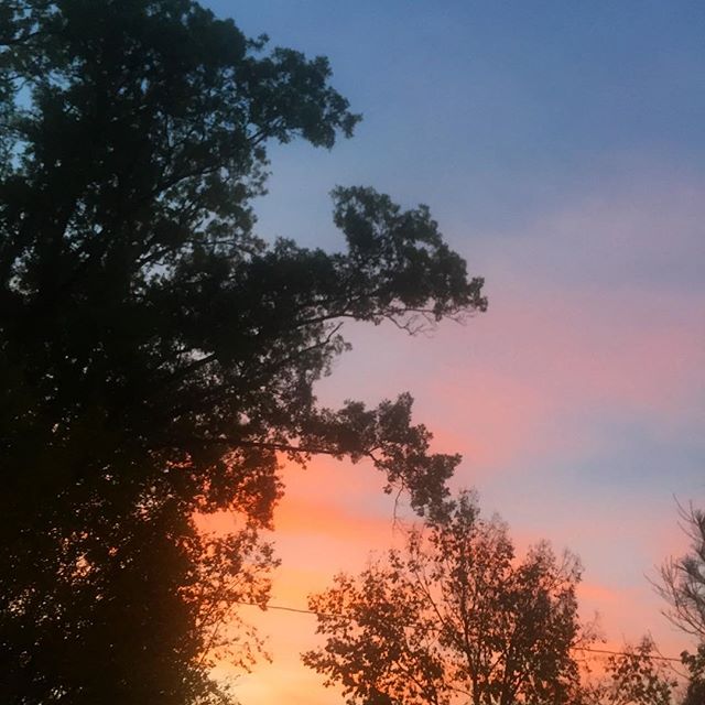 petition to skip Daylight Savings Time this year