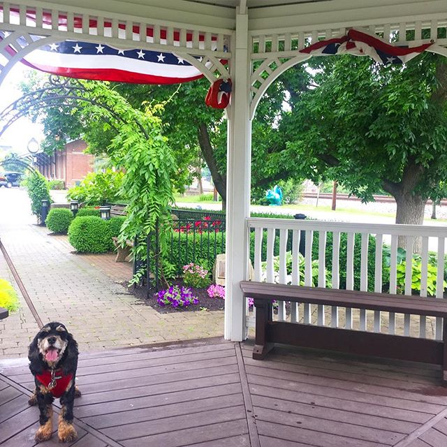 Happy Memorial Day from Stars Hollow