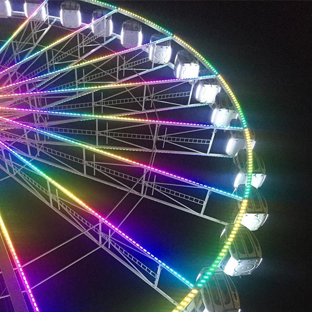 I am glad I live on this weird floating 