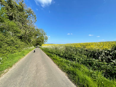 Spring walk from the office