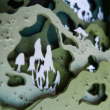 fungi growing on mossy tree roots