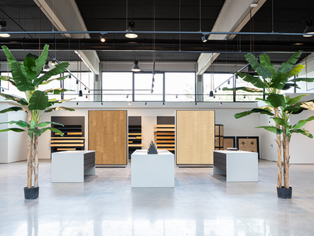 Progettazione di showroom commerciale