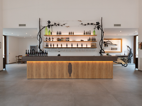 Cantina Vinicola – Accoglienza e Degustazione