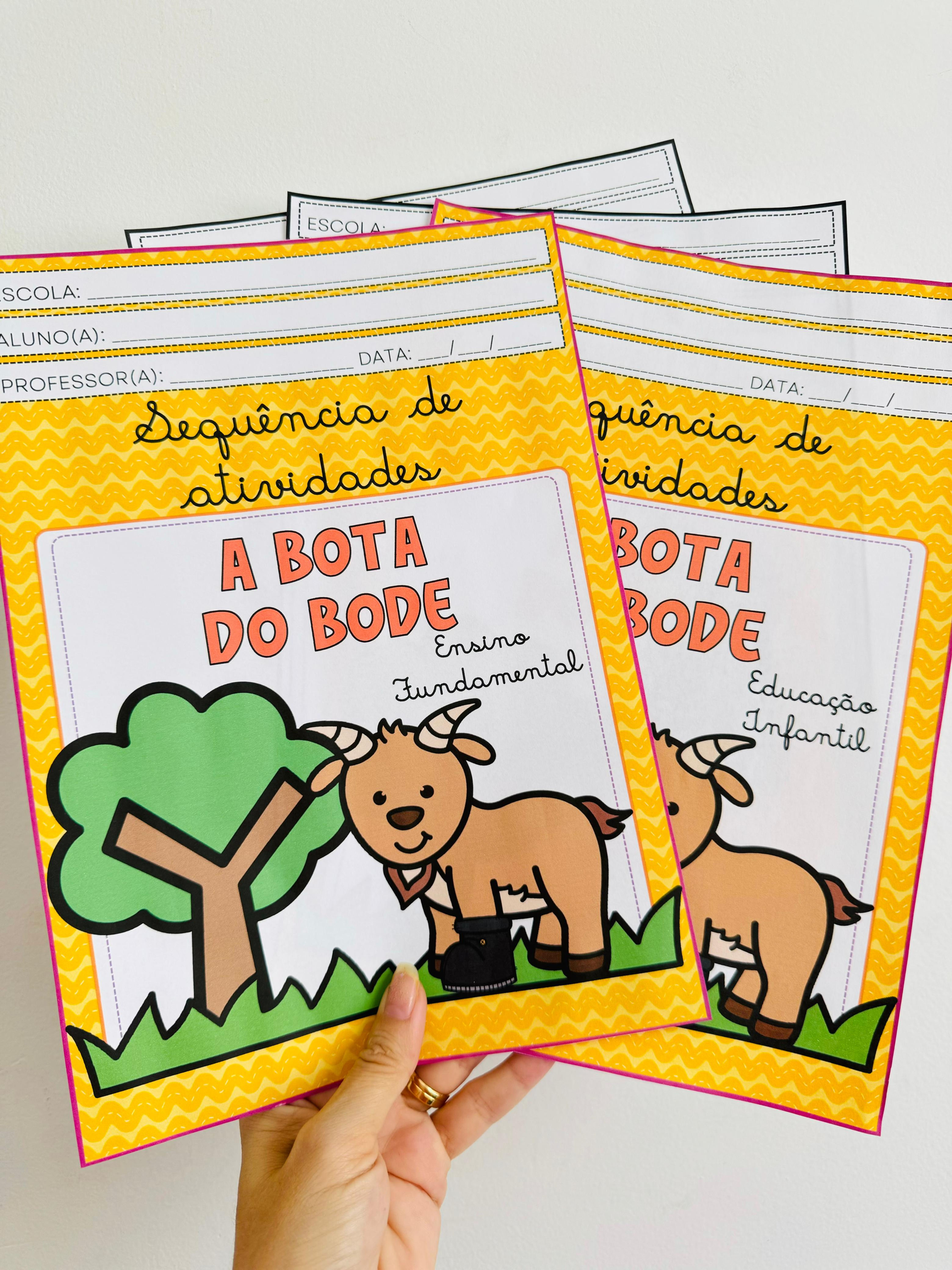 A BOTA DO BODE - SEQUÊNCIA DIDÁTICA EI E EF