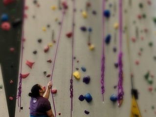 Neuroscience, squirrels, and belay safety