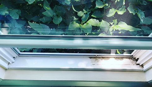 Window Ledge.jpg