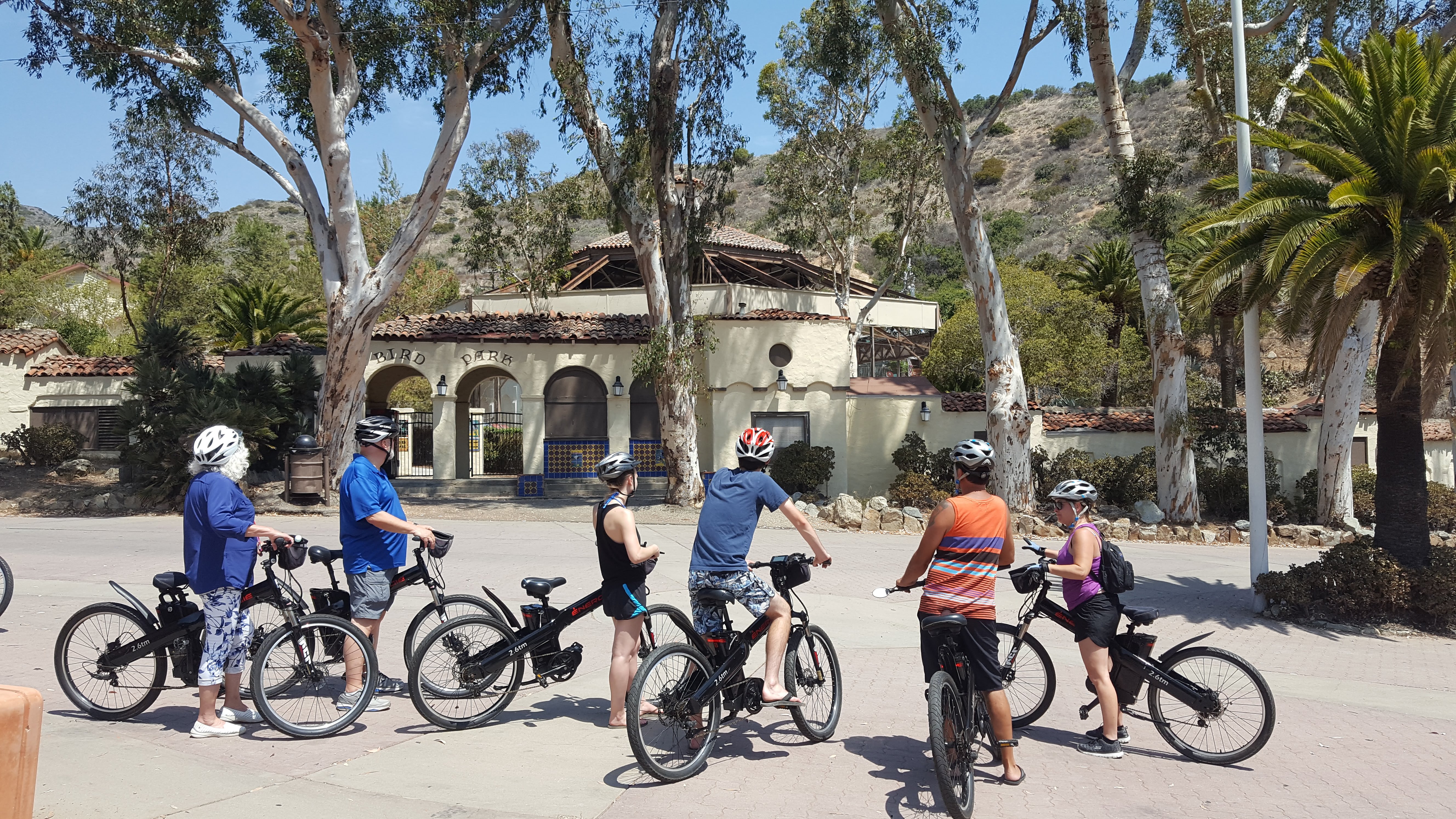 Bike Tours & Rentals Avalon Catalina Electric Bike Tours
