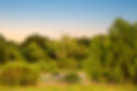 DSC_8541-Edit.jpg