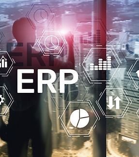 Plataforma ERp