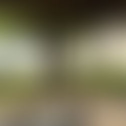 Для тих, хто не пам’ятає, коли востаннє відпочивав