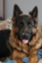 Eli