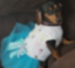 Maggie