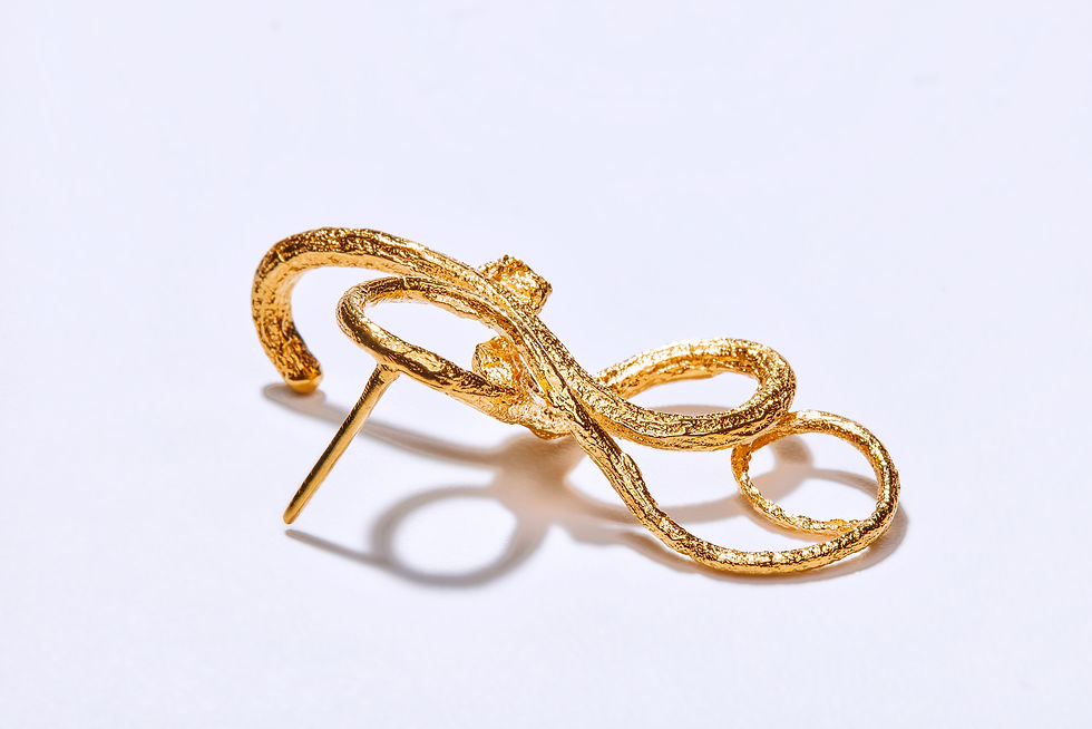 Miniature : TRUBLION°1