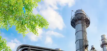 Environmental impact.webp