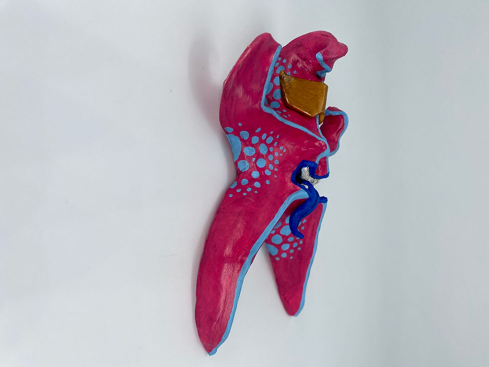 Thumbnail: Super Starfish
