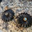 Thumbnail: Stunning Vintage 10K Yellow Gold Carved Onyx & Swiss Blue Topaz Flower Bracelet