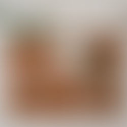 Cadeaus voor de feestdagen