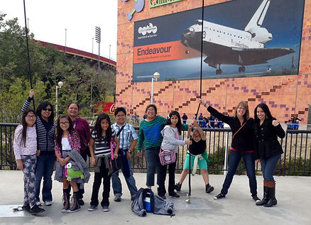Fieldtrip Chaperone