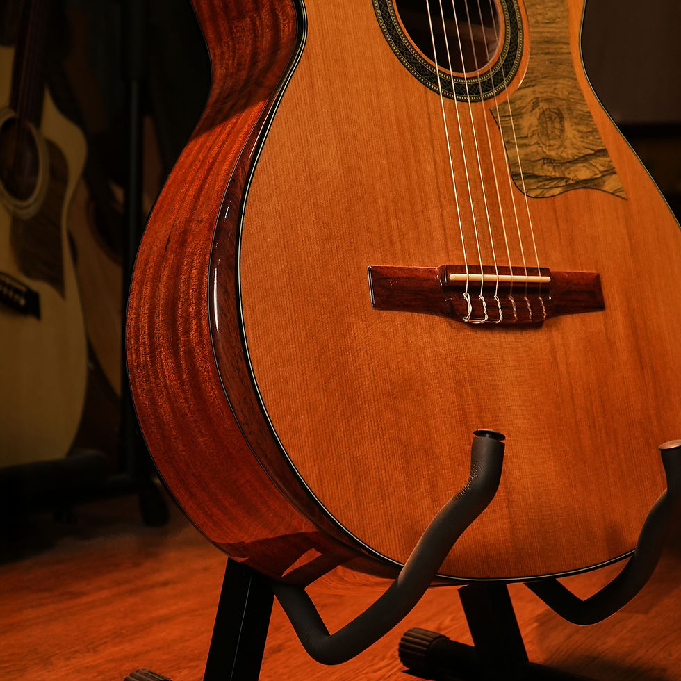 Hình thu nhỏ: Guitar Trần Semi Classic CD-50C