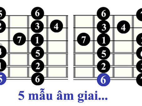 Ứng dụng âm giai khi chơi lead guitar
