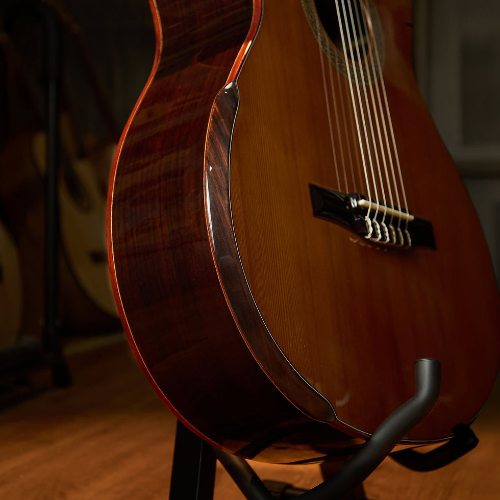 Hình thu nhỏ: Guitar Trần Semi Classic Custom A-07C