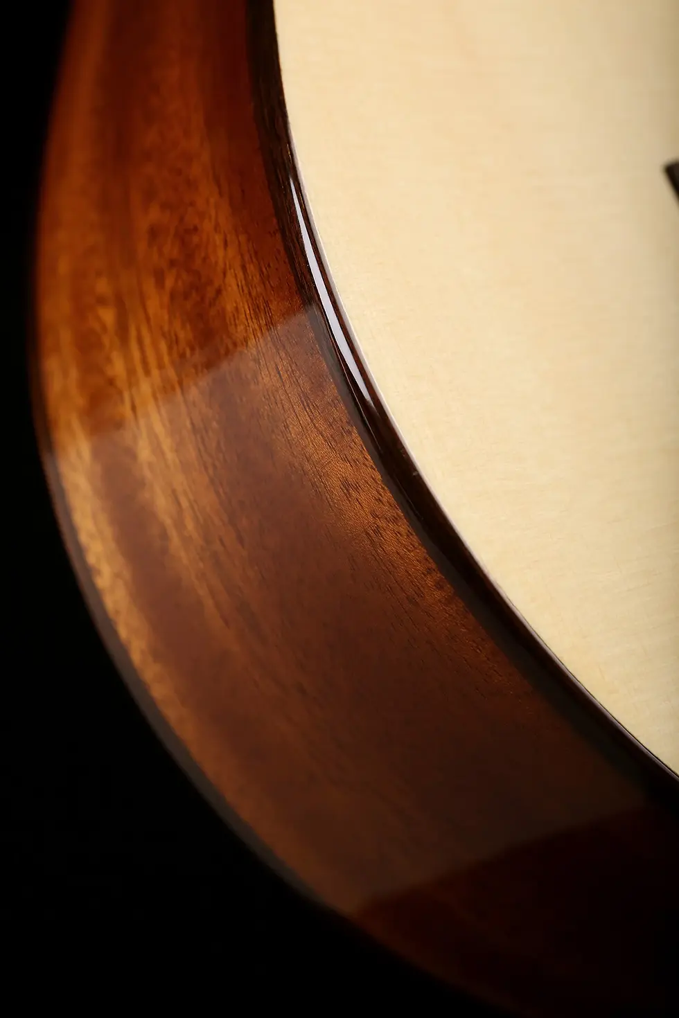 Hình thu nhỏ: Guitar Classic Cordoba Fusion 5