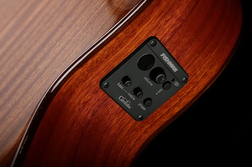 Hình thu nhỏ: Guitar Classic Cordoba C5CE