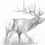 Thumbnail: Elk Liver Treats 