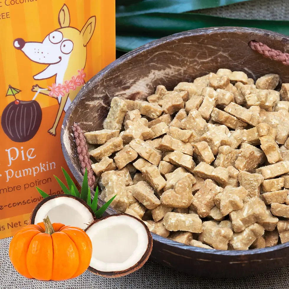 Thumbnail: Coco Therapy Coco-Charms - Pumpkin Pie/Coconut, Ginger, Pumpkin (5oz)