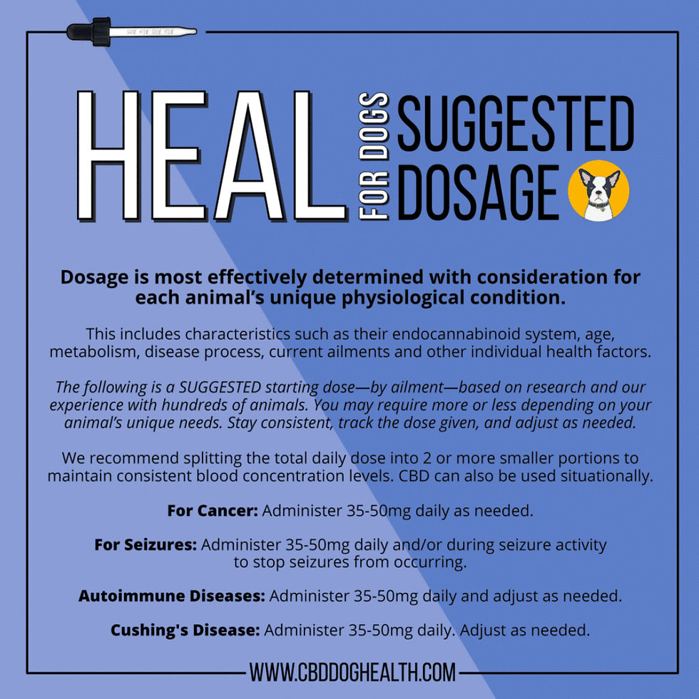 Thumbnail: HEAL - CBD Oil for Cats
