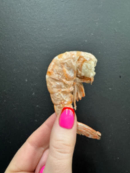 Freeze Dried Wild Caught Brown Shrimp (2.2oz)