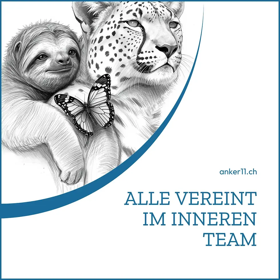 Reflexion aus der Coachingpraxis zu Krisen- und Belastungssituationen Solothurn