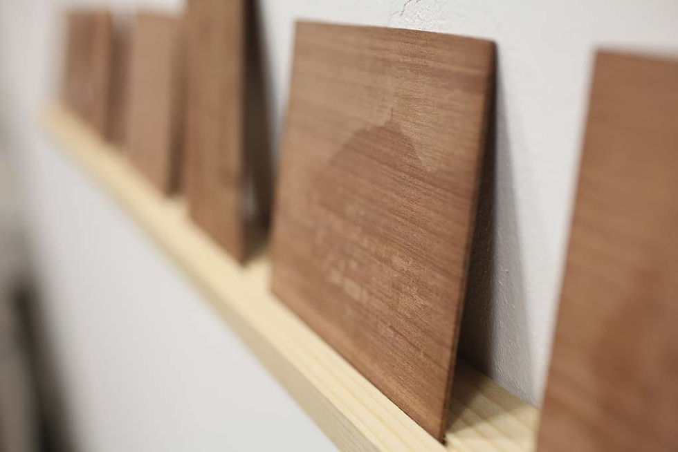 Souvenirs de Voyages, détail, 2014
