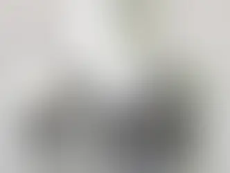 Pur-protect Produkte online - PURelastik Flüssigkunststoff online kaufen